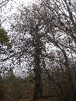 nte Fontane-201011107 063